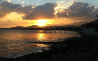 Hípica en Telde. Hípica Canaria en un lugar privilegiado