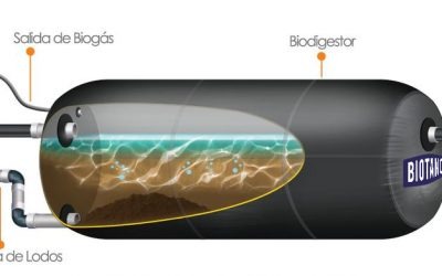 La contaminación por purines. Su grave problema ambiental con fácil solución.