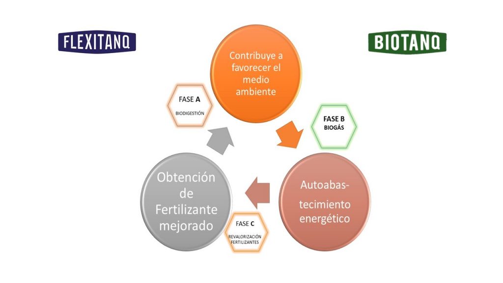 Fases del proceso de generación de biogás a partir de purines.